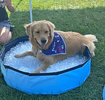 MicrosoftTeams-image (5).png