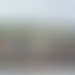 Vipers fare strongly in NPL tourney