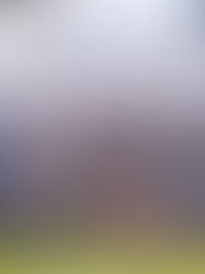 La Sallians crowned Firelight 7s Premiers