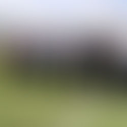 New Board Members of PNG NRL Franchise Announced