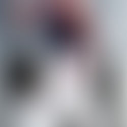 STONE'S FILM & MARTIAL ARTS TOUR OF INDIA & THAILAND 2024