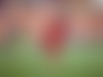 PNG Bilums Book Big Dance