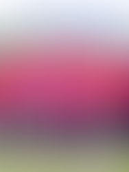 Cricket PNG stands strong for Pinktober 2025 