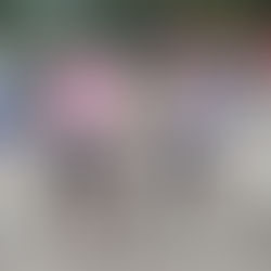 Kamuna Men's Netball Team Advances to Grand final