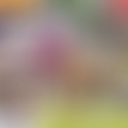 Vikings conquer Bulls to secure Rigo Rice Cup Leg 1 title