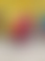 POM Women’s Softball Association Gears for Preseason Finals