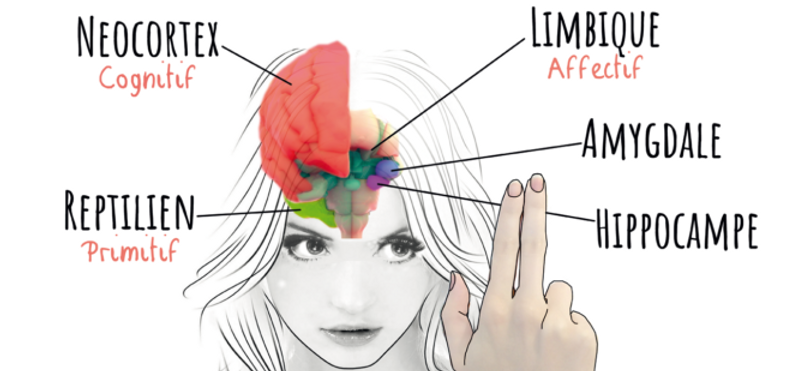 EMDR1-e1611312190234.png