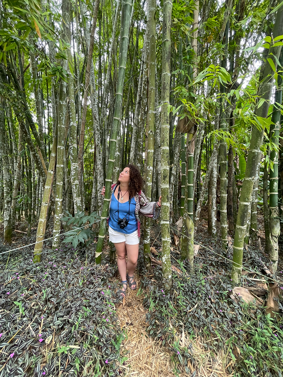 Thumbnail: ISABELA - Highlands Tour