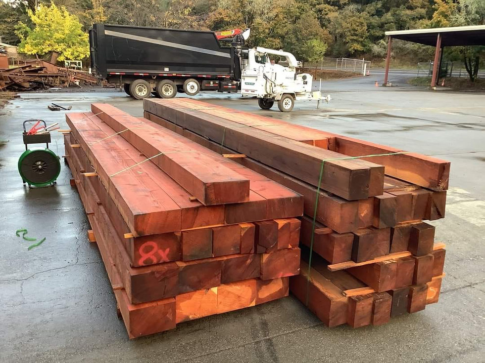 489383968_1265311125597707_2259409015697569610_n