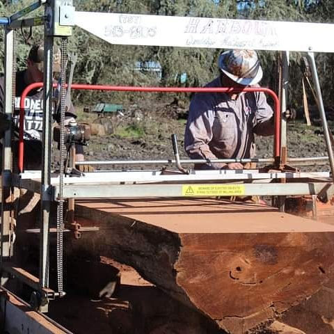 oldgrowthredwood