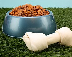 Dog Food