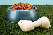 Dog Food Bowl