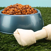 Dog Food