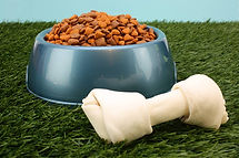 cibo per cani
