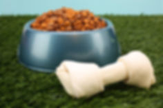 Food and Treat