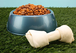 Dog Food