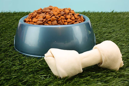 Dog Food