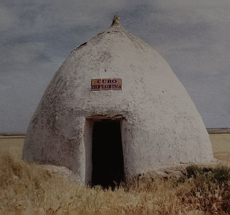 8 c. pablillo.jpg
