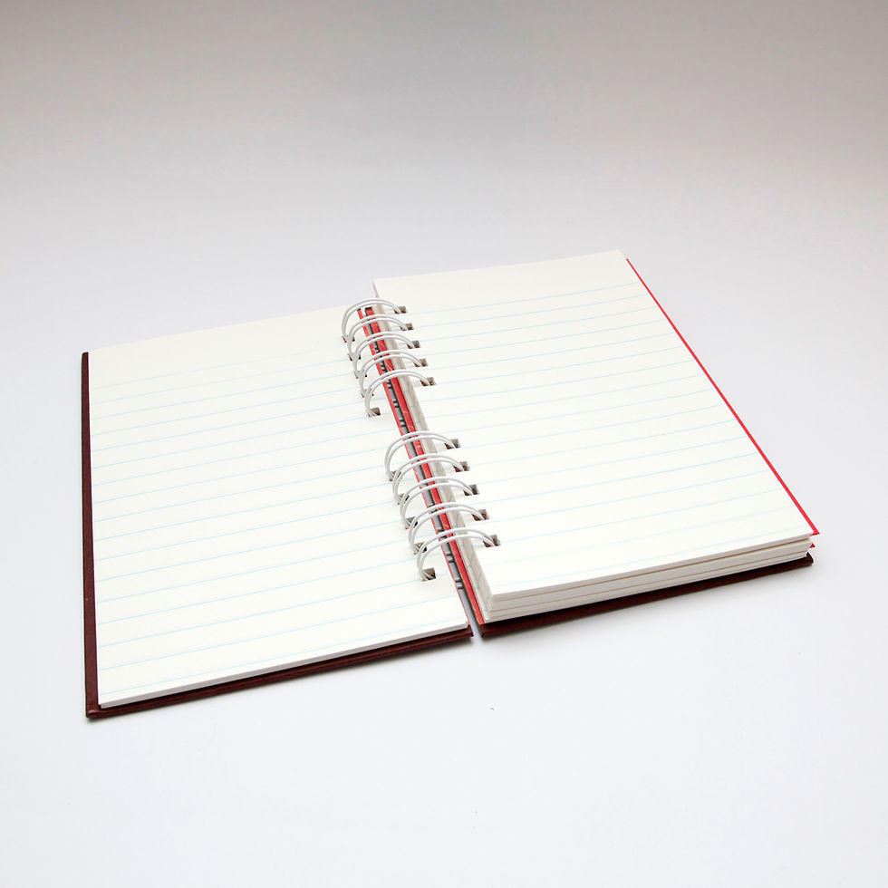 Thumbnail: February Limited Release Red Notebook