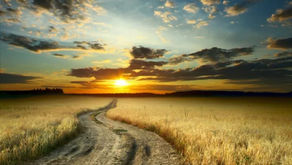 Desenvolvimento Integral: Caminhos para o Equilíbrio Emocional