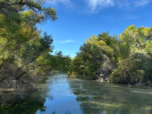 Day Trip to Wickenburg
