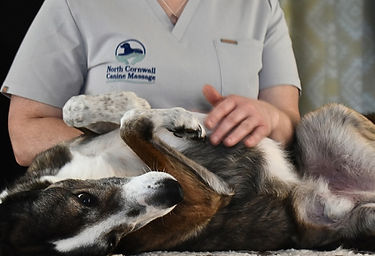 massage page photos (1).jpg