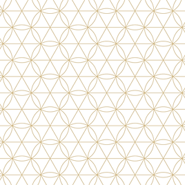 3000 ceometria png cuadrado.png