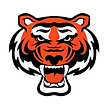 Tiger Head.png