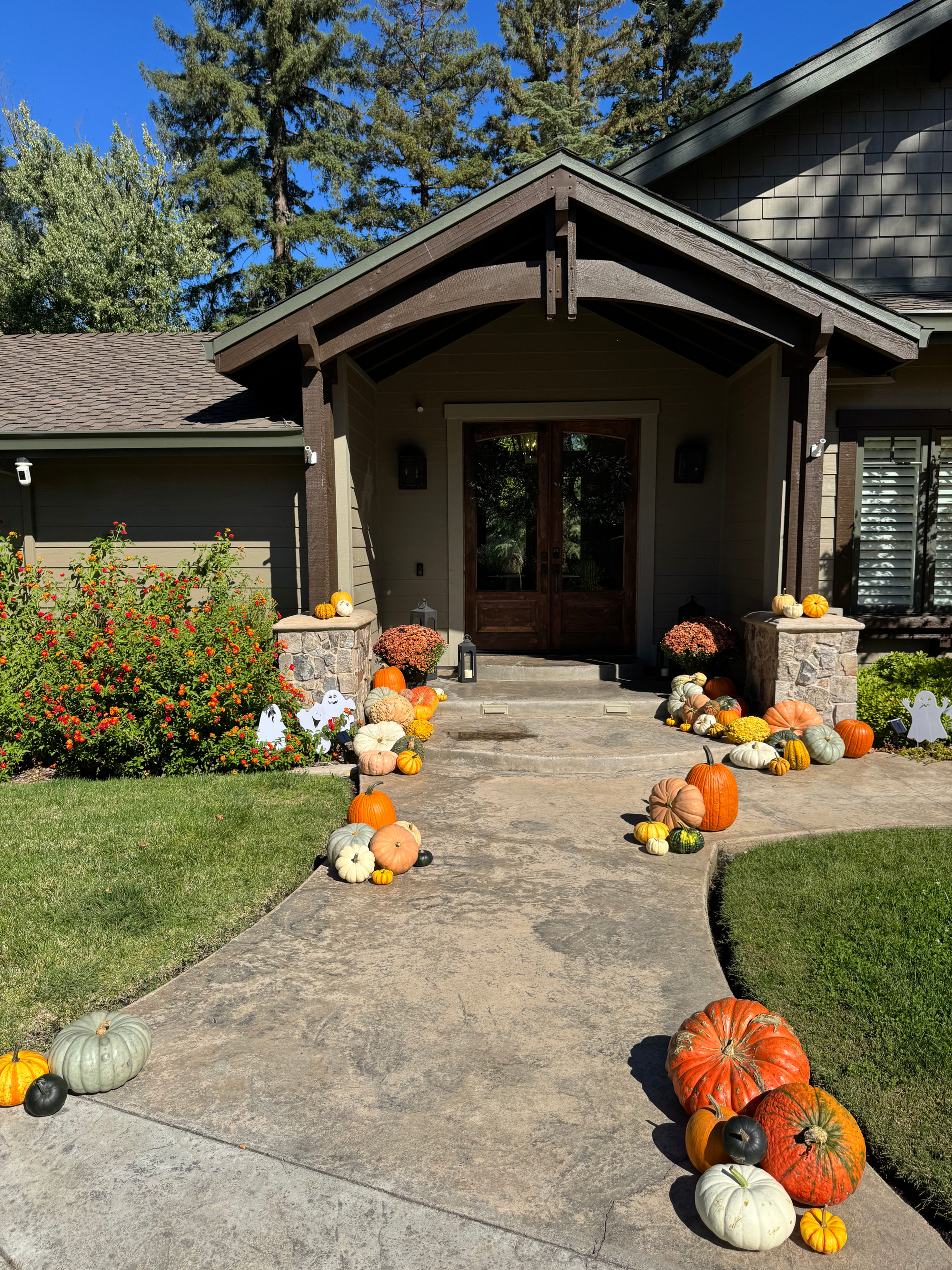 Package #2 Stacked Color - 70 Pumpkins
