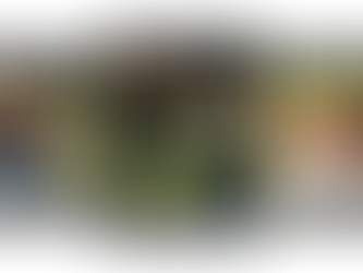 Bonus Befana 2024: cos’è, come funziona e chi può richiederlo