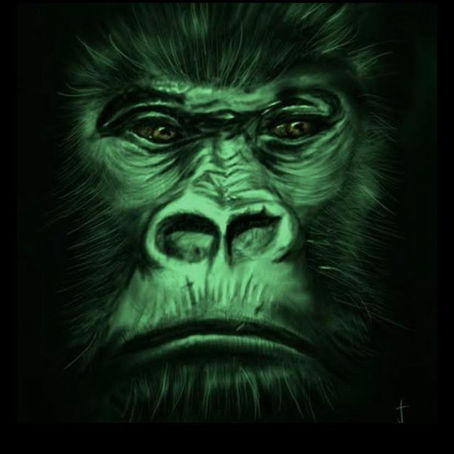 NEW ATLANTIC RECORDS A&R CONTACT ADDED