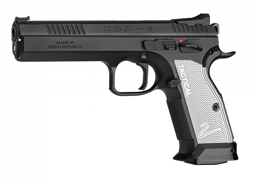 CZ TS2 Entry Model