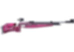 Feinwerkbau 800 Universel Rose