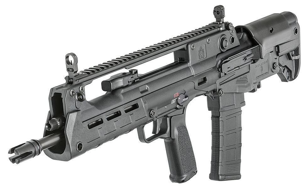 Thumbnail: Springfield HELLION