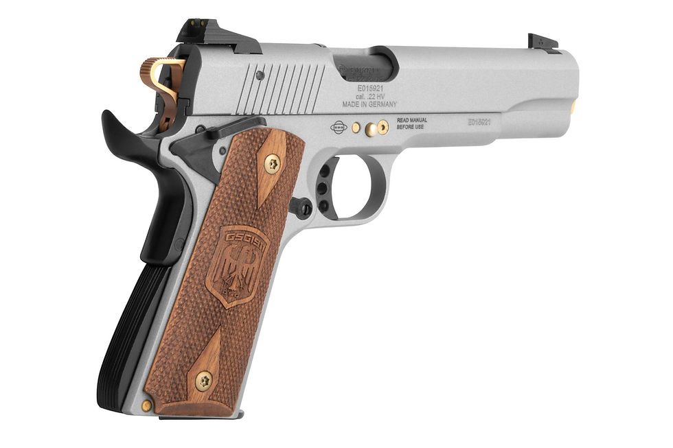 Thumbnail: GSG-1911 Frozen Grey 22 Lr