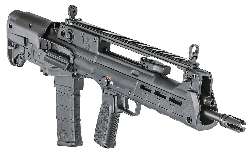 Thumbnail: Springfield HELLION