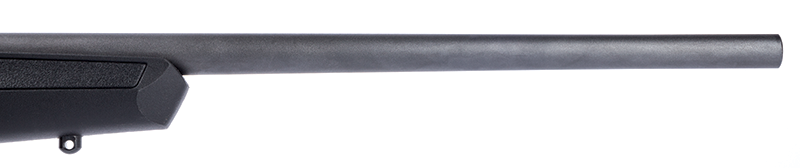 Thumbnail: Carabine Savage B22 F