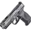 Miniature : Smith & Wesson M&P9 M2.0 Carry Performance Center 13987