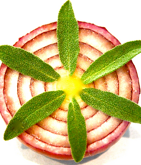 Bildschirmfoto 2020-04-29 um 17.22.14.png