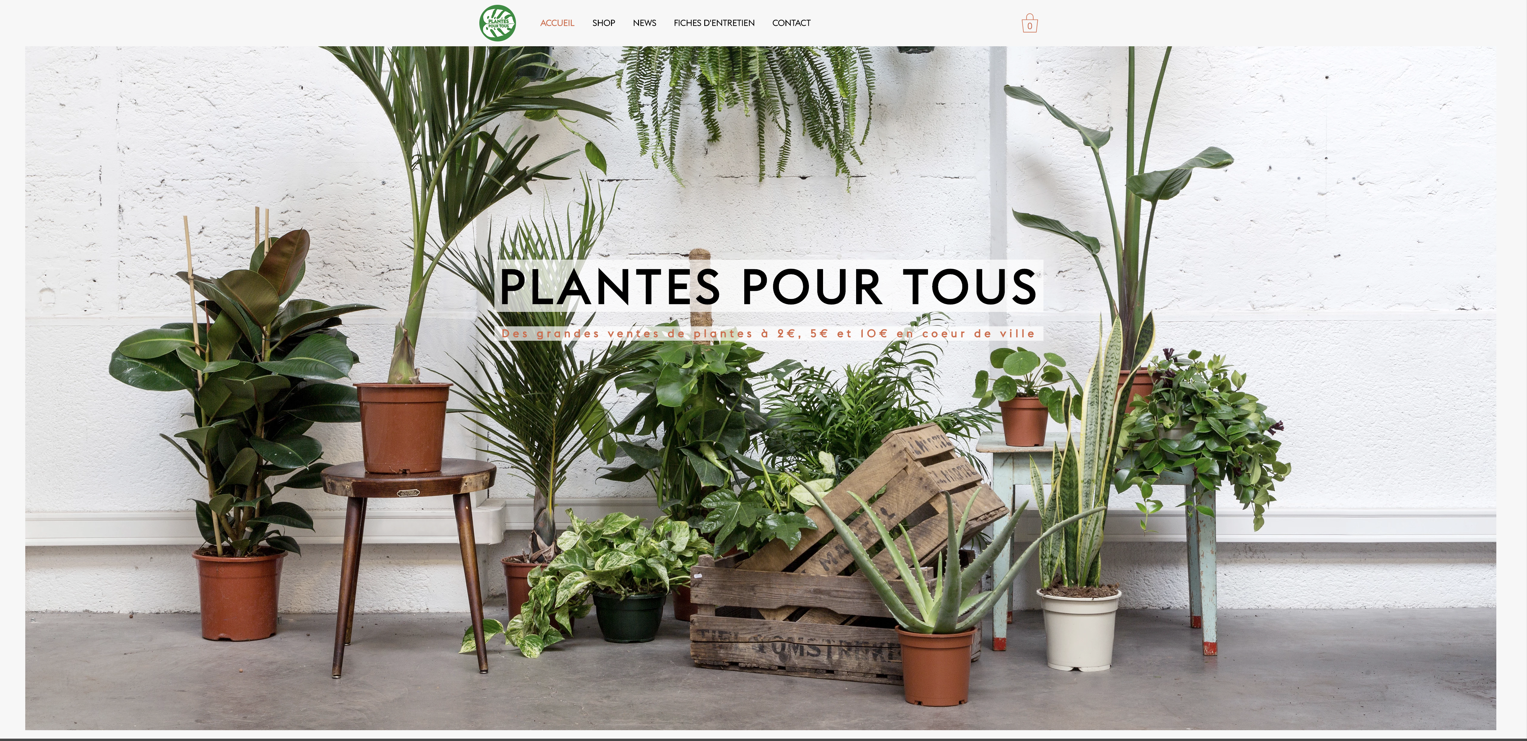 acheter des plantes pas cher paris acheter des plantes pas cher paris