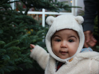 Picking our Xmas Tree