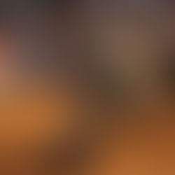 Protótipo de competição 4x4 enfrentando obstáculo na pista de terra durante prova do Campeonato Brasileiro Radical 4x4, com veículo levantando uma das rodas enquanto o público acompanha nas arquibancadas.