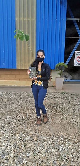 GS Inima Brasil celebra o Dia da Árvore com ações sustentáveis em SP, MG, RS e AL, reforçando seu compromisso ambiental.