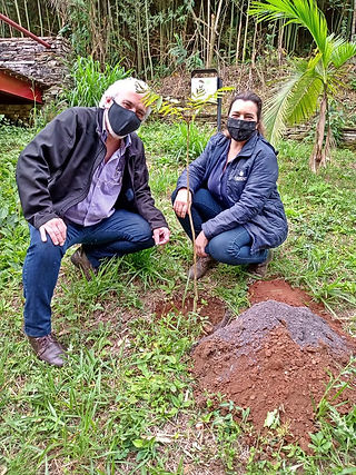 GS Inima Brasil celebra o Dia da Árvore com ações sustentáveis em SP, MG, RS e AL, reforçando seu compromisso ambiental.
