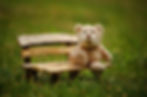 teddyweb.jpeg