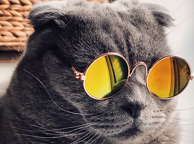 Create your online profile!