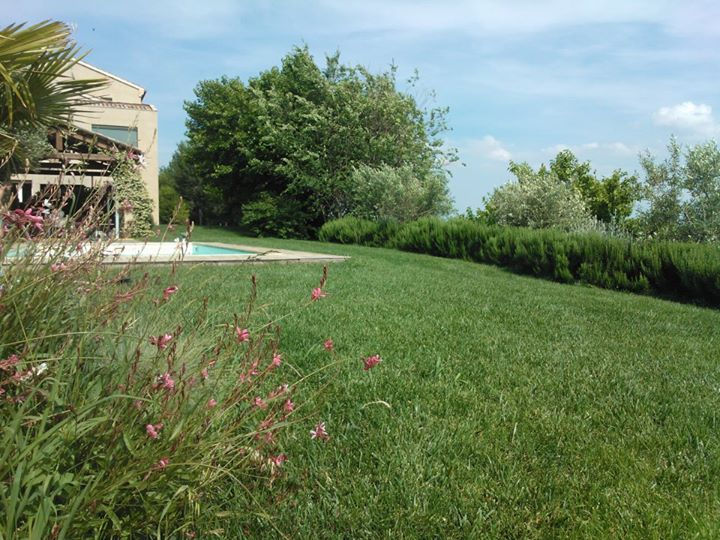 RISULTATO DELLA SEMINA DEL PRATO, JESI