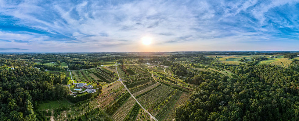 DJI_0661 (1).jpg