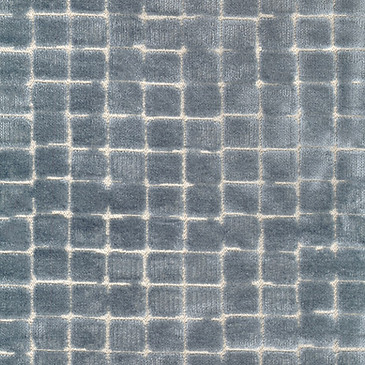 Salvador Bluestar.jpg