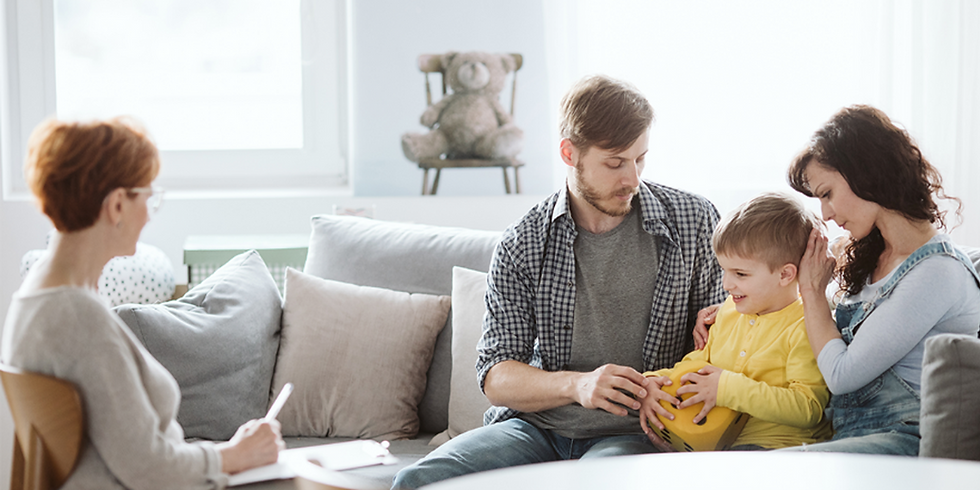 Family Court Expert Witness Consultation